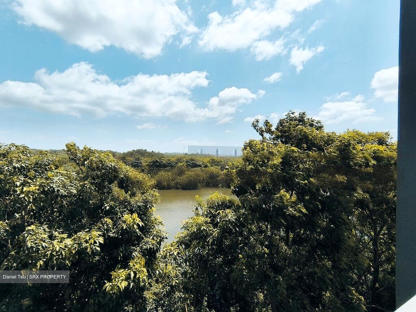 Blk 476A Hougang Capeview (Hougang), HDB 4 Rooms #445868321